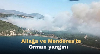 Aliağa ve Menderes'te orman yangını