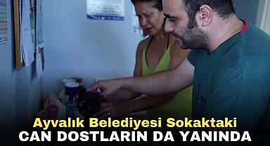 AYVALIK BELEDİYESİ SOKAKTAKİ CAN DOSTLARIN DA YANINDA