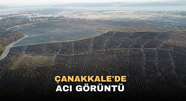 Çanakkale'de acı görüntü