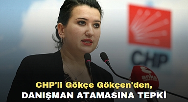 CHP'li Gökçe Gökçen'den, danışman atamasına tepki