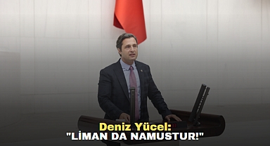 Deniz Yücel: