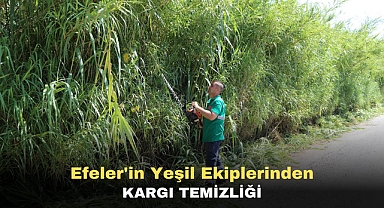 EFELER’İN YEŞİL EKİPLERİNDEN KARGI TEMİZLİĞİ