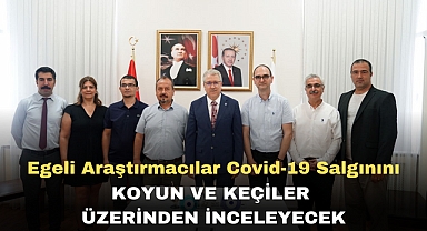 Egeli araştırmacılar Covid-19 salgınını koyun ve keçiler üzerinden inceleyecek