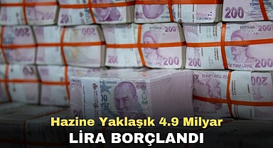 Hazine yaklaşık 4.9 milyar lira borçlandı