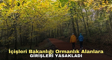 İçişleri Bakanlığı ormanlık alanlara girişleri yasakladı
