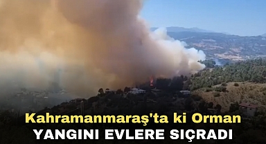 Kahramanmaraş'taki orman yangını evlere sıçradı