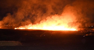 Keşan'da buğday ekili alanda yangın çıktı: 100 dönüm arazi kül oldu!