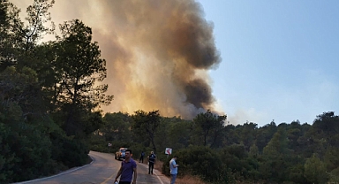 Milasta'ta Ormanlık Alanda Yangın Çıktı
