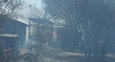 Muğla Bodrum'da çıkan yangın küçük evlere sıçradı
