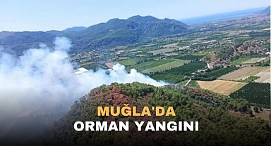 Muğla'da orman yangını 