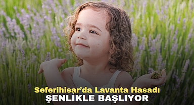 Seferihisar’da Lavanta Hasadı şenlikle başlıyor