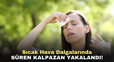 Sıcak hava dalgalarında ne yapılmalı?
