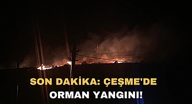 SON DAKİKA ÇEŞME'DE ORMAN YANGIN!