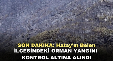 SON DAKİKA: Hatay'ın Belen ilçesindeki orman yangını kontrol altına alındı