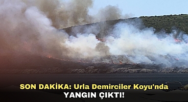SON DAKİKA: Urla Demirciler Koyu'nda Yangın Çıktı!