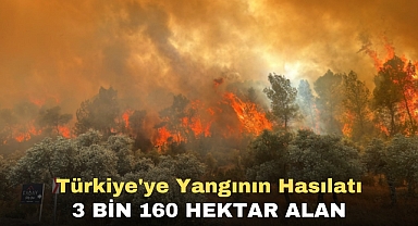 Türkiye'ye Yangının Hasılatı 3 bin 160 hektar alan