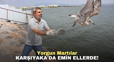 Yorgun Martılar Karşıyaka'da emin ellerde!