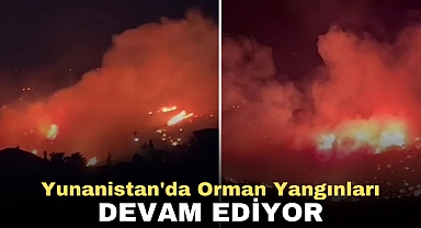 Yunanistan'da Orman Yangınları Devam Ediyor