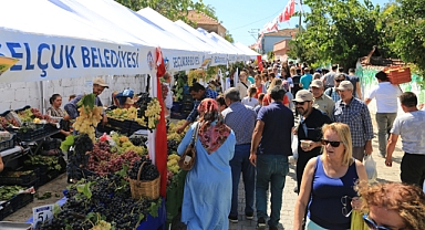 EFES SELÇUK GÖKÇEALAN'DA ÜZÜM ŞENLİĞİ VAR