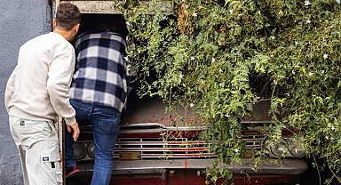 59 model klasik otomobil yıllar sonra gün yüzüne çıktı! Görenler gözünü alamadı, restorasyon maliyeti dudak uçuklattı