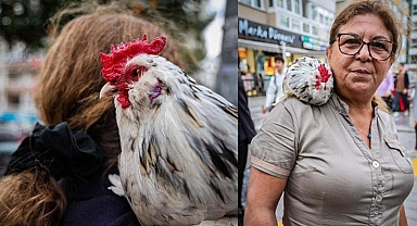 'Horoz bıdık' sahibinin omuzundan hiç inmiyor
