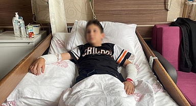 Sevdiği köpeğin saldırısına uğrayan 12 yaşındaki çocuk hastaneye kaldırıldı! 