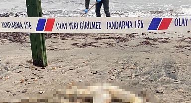 Bodrum'da korkunç olay! Sahilde başı olmayan erkek cesedi bulundu