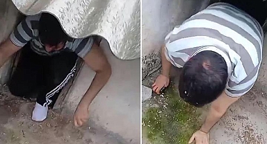 İzmir'de firari hükümlülere yönelik operasyon: Saklandığı kümeste yakalandı