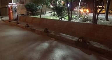 İzmir'de korkunç olay! 'Laf atma' kavgasında göğsünden bıçaklanarak öldürüldü