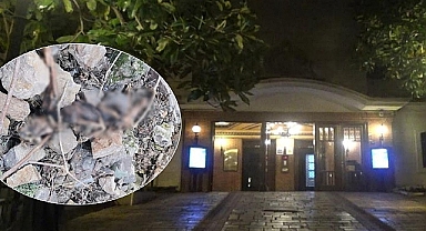 İzmir Tarihi Asansör yakınında insan kemikleri bulundu