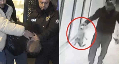 Kedi katili cani gözaltına alındı