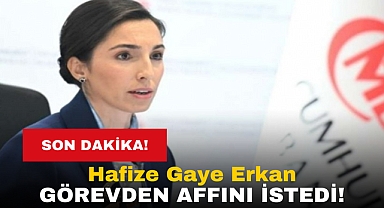 Hafize Gaye Erkan Görevden Affını İstedi!