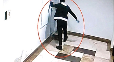 Kediyi tekmelerle öldürmüştü... Savcılıktan ‘ceza ertelemesine’ itiraz