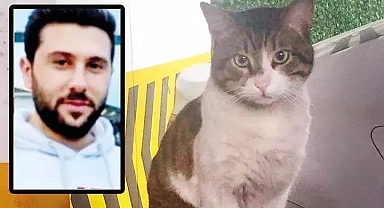 Kedi Eros'u vahşice katletmişti! İbrahim Keloğlan hakim karşısına çıkıyor... Hayvanseverler adliyeye akın etti