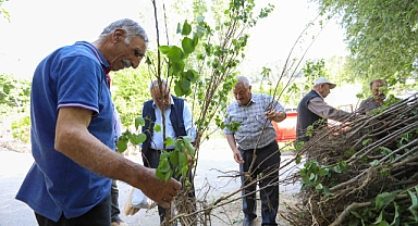 Buca Belediyesi'nden üreticiye fidan desteği