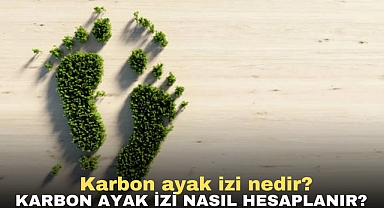 Karbon ayak izi nedir? | Karbon ayak izi nasıl hesaplanır?