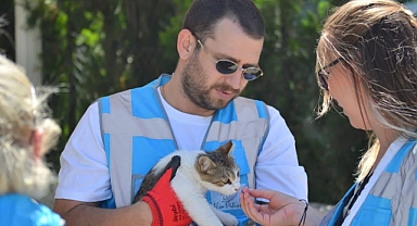 Sokak hayvanlarına umut olan proje!