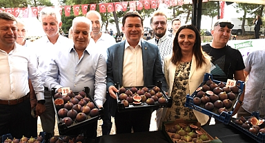 Dünya'nın en güzel ve lezzetli incirleri Osmangazi'de görücüye çıktı