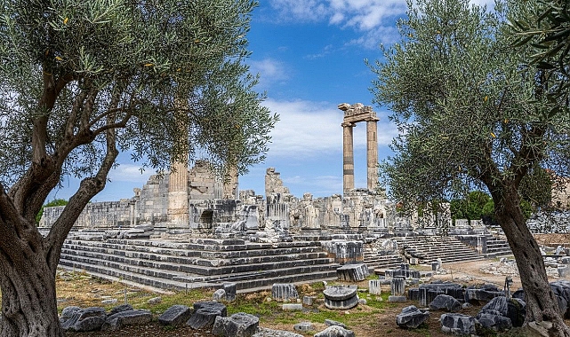 Başkan Hatice Gençay: "Zeytin Ağacı Didim'in hafızasıdır"