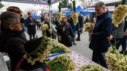 8. Karaburun Nergis Festivali başladı
