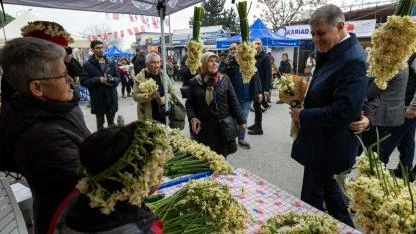 8. Karaburun Nergis Festivali başladı