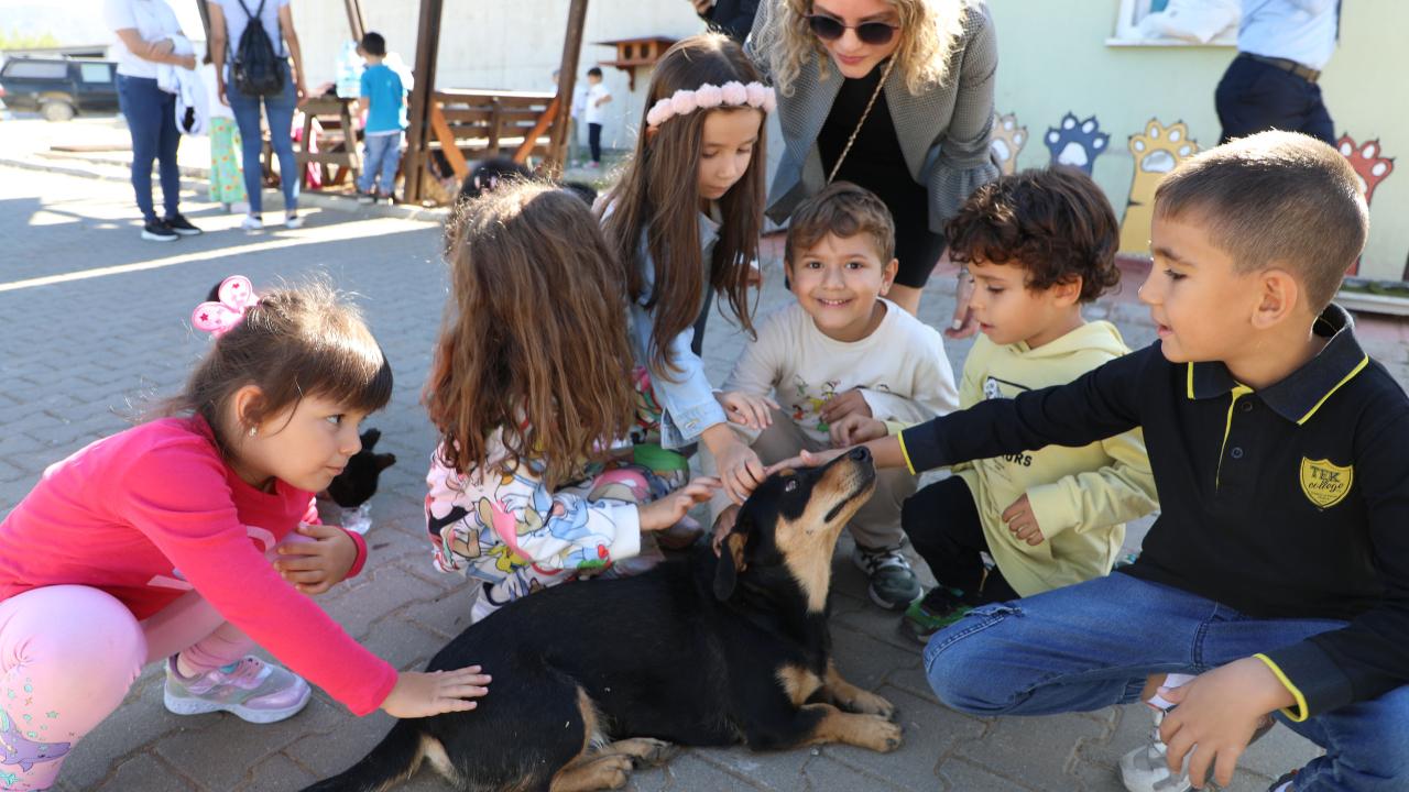 Büyükşehir’den 4 bin 34 Can Dosta Yeni Yuva