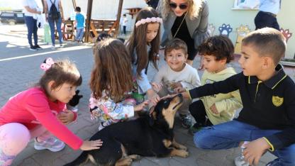 Muğla Büyükşehir’den 4 bin 34 Can Dosta Yeni Yuva