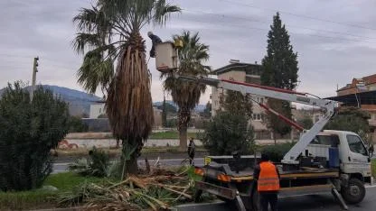 EFELER BELEDİYESİ’NDEN UMURLU KARAYOLU’NDA ÇALIŞMA