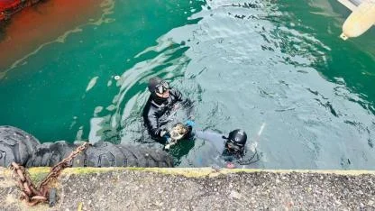 İzmir İtfaiyesi, iskele altında sıkışan kediyi kurtardı