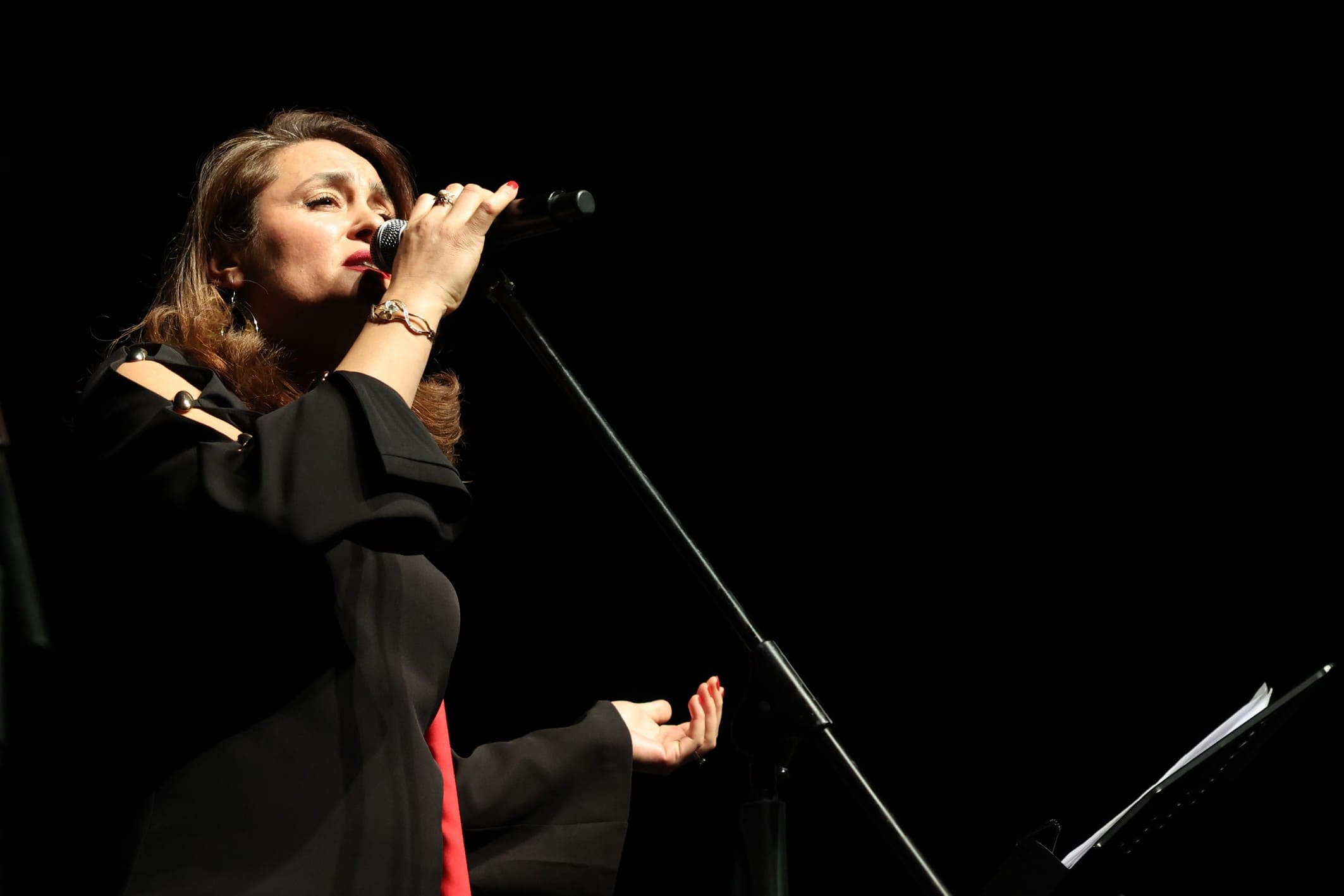 Anadolu’nun ezgileri Nilüfer’de yankılandı